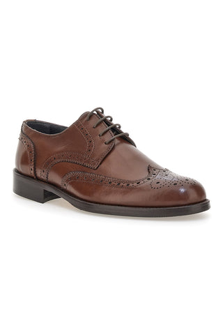 Scarpe eleganti marroni in pelle con forature decorative Pittarello 7710