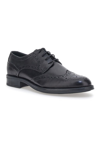 Elegante Schnürschuhe Andrea Bruni 11706 Schwarz