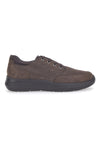 Scarpe Stringate Marroni Pittarello 5792