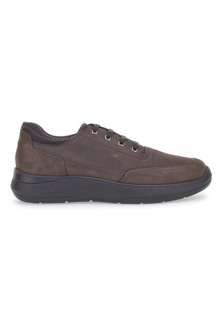 Scarpe Stringate Marroni Pittarello 5792