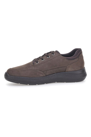Scarpe Stringate Marroni Pittarello 5792