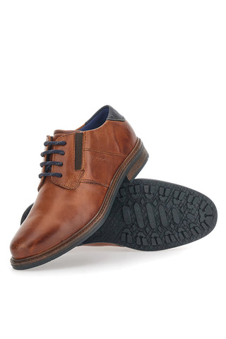 Scarpe Stringate Bugatti 311805 Cognac