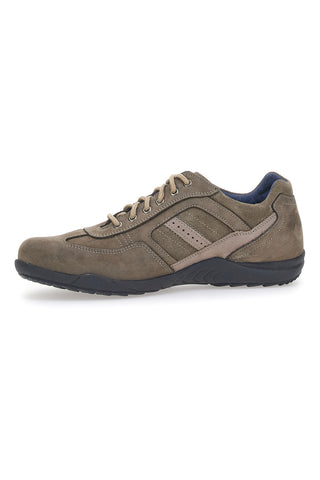 Schnürschuhe Pittarello Eco 7016 Taupe