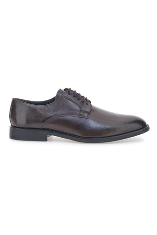 Scarpe Stringate Marroni Max Dillan 6001