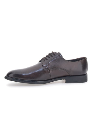 Scarpe Stringate Marroni Max Dillan 6001