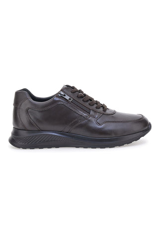 Sneakers marroni in pelle con zip laterale Claremorris 23066510