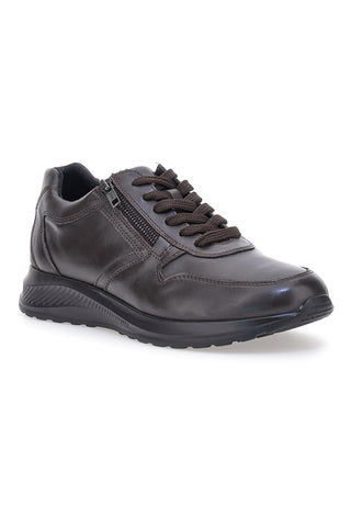 Sneakers marroni in pelle con zip laterale Claremorris 23066510