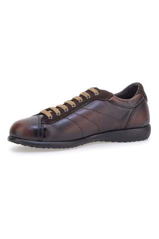 Sneakers marroni in vera pelle con finitura sfumata Pittarello 22095681