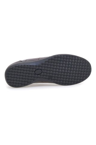 Sneakers marroni in vera pelle con finitura sfumata Pittarello 22095681
