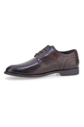 Braune Schnürschuhe aus echtem Leder Pittarello Class 300