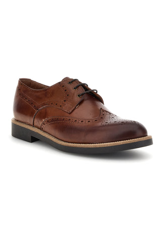 Scarpe stringate marroni in pelle Pittarello 8023