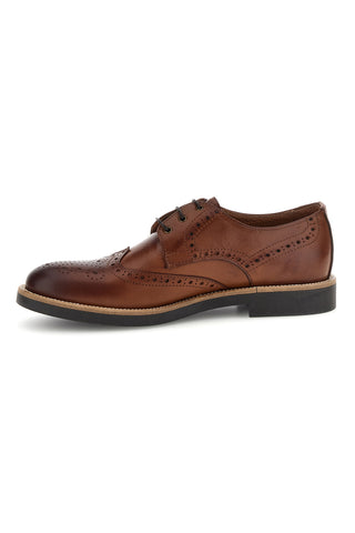 Scarpe stringate marroni in pelle Pittarello 8023