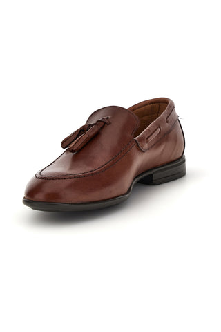 1 PITTARELLO 071 BRAUN