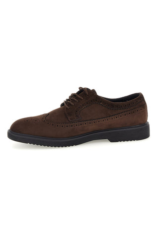 Scarpe stringate marroni in camoscio modello derby Jerpoint 1Y00783