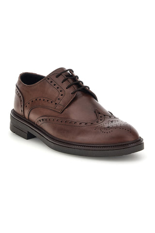 Braune Schnürschuhe aus echtem Leder von Pittarello, Modell Focus 224