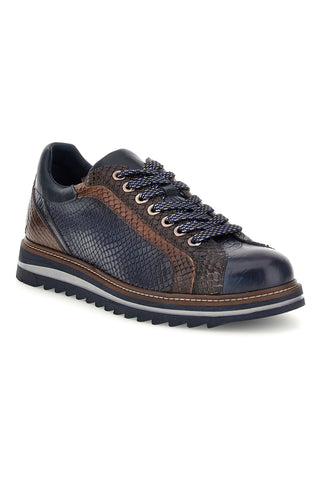 Sneaker Blu e Marrone in Pelle con Dettaglio Pitonato Pittarello eco 26276002