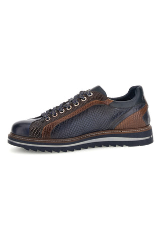 Sneaker Blu e Marrone in Pelle con Dettaglio Pitonato Pittarello eco 26276002