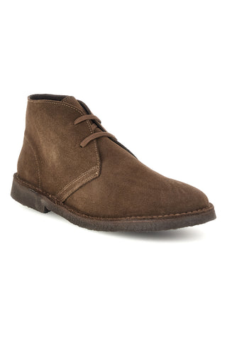Polacchini Desert Boot Caribou in Scamosciato Ptr 87510