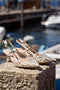 Décolleté slingback bianche intrecciate con tacco basso Mon Dieu 1601