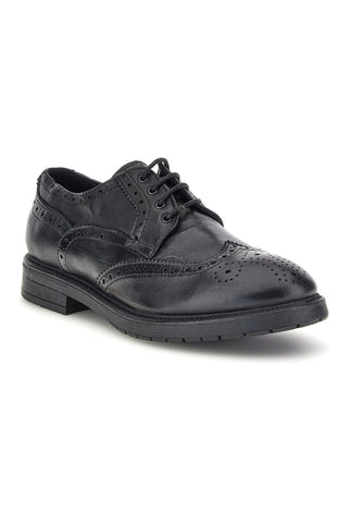Scarpe stringate nere brogue in vera pelle Pittarello plus 168