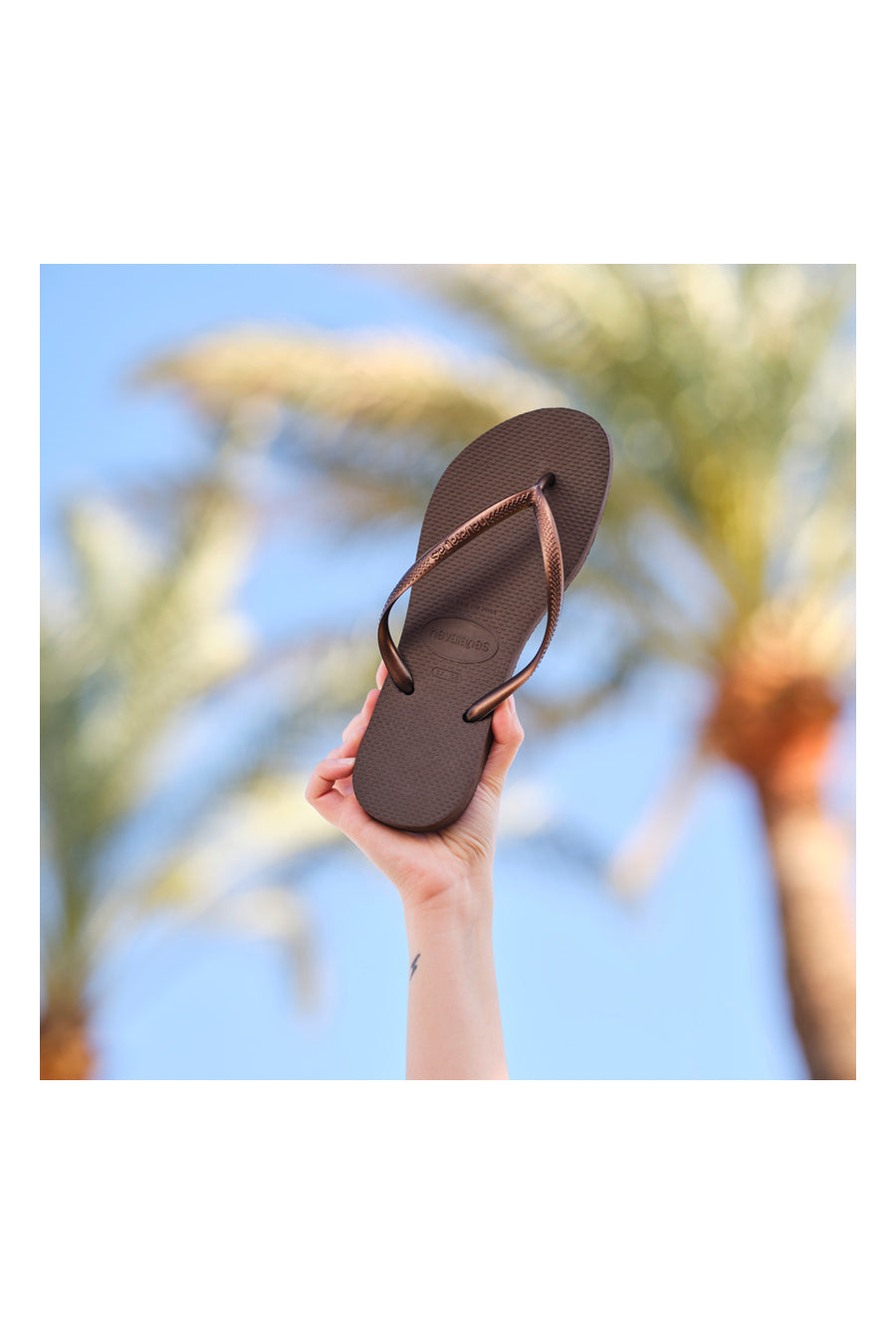 Havaianas Ciabatte Uomo Outlet Havaianas Outlet Havaianas Uomo