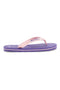 Lila Flip-Flops mit rosa Riemen Champion Big classic evo ii