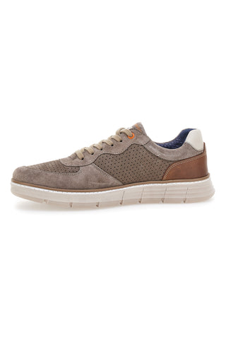 Perforierte Schnürschuhe in Taupe mit seitlichem Reißverschluss Pittarello eco 26111008