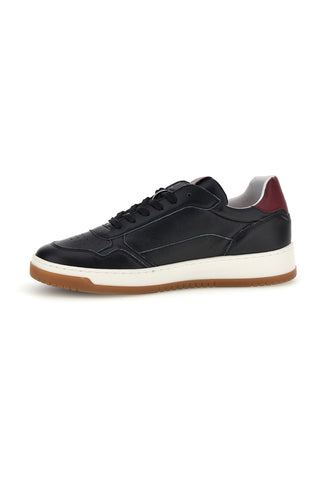 Schwarze Schnürschuhe aus Leder Pittarello plus Zeno