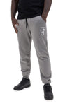 Pantaloni jogger grigi con logo stampato Abarth AH025PA