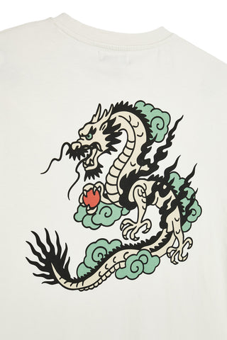 T-shirt grigia stampa grafica retro Boardman alpha PT-M-T-9061