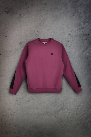 Amaranthfarbenes Sweatshirt mit Rundhalsausschnitt und Aufdruck auf der Rückseite: „Boardman Filtro“
