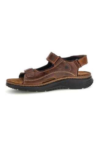 Sandali marroni in vera pelle con strappi regolabili Pittarello eco 2613604