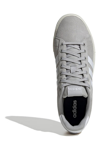 Sneakers Grigie Skate Adidas IF4504