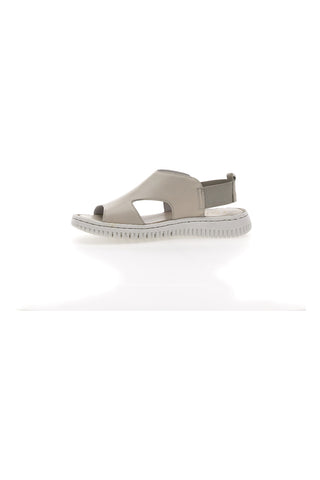 Sandali Roccia Con Elastico Posteriore Pittarello Focus 1124926