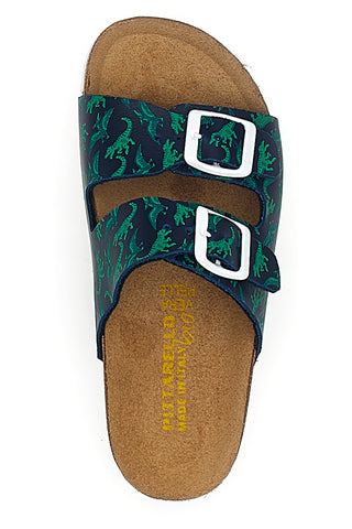 Blaue und grüne Hausschuhe mit Schnalle und Dinosauriern Pittarello Bio 257206