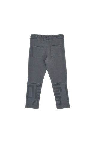 Pantaloni grigi felpati con stampa grafica Pitt Kids PT-KP-8009