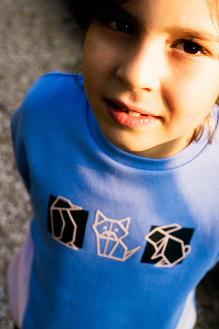 Felpa azzurra con stampa origami Pitt Kids PT-KF-8013