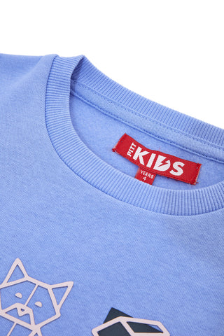 Felpa azzurra con stampa origami Pitt Kids PT-KF-8013