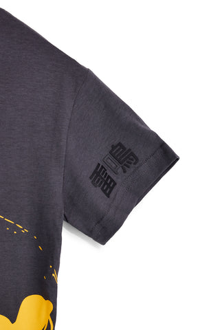 Completo grigio con t-shirt e shorts Pitt kids PT-B-SE-9029