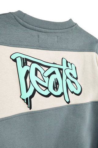 Grau-grünes Sweatshirt mit Fleecefutter von Pitt Kids, Modell PTBF2615