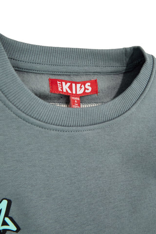Grau-grünes Sweatshirt mit Fleecefutter von Pitt Kids, Modell PTBF2615