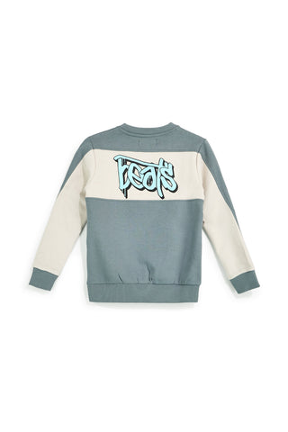Grau-grünes Sweatshirt mit Fleecefutter von Pitt Kids, Modell PTBF2615