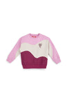 Mehrfarbiges Sweatshirt mit flauschigem Innenfutter von Pitt Kids, Modell PTGF2637