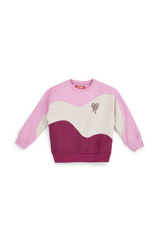 Mehrfarbiges Sweatshirt mit flauschigem Innenfutter von Pitt Kids, Modell PTGF2637