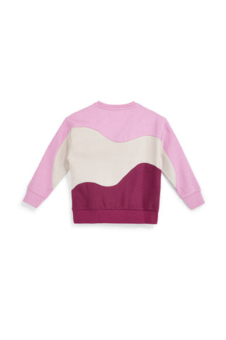 Mehrfarbiges Sweatshirt mit flauschigem Innenfutter von Pitt Kids, Modell PTGF2637