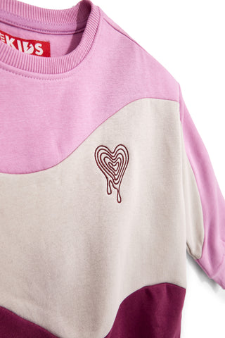 Mehrfarbiges Sweatshirt mit flauschigem Innenfutter von Pitt Kids, Modell PTGF2637