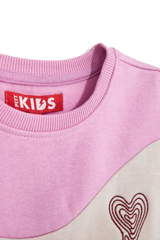 Mehrfarbiges Sweatshirt mit flauschigem Innenfutter von Pitt Kids, Modell PTGF2637
