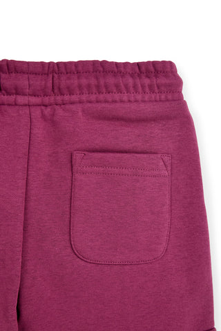 Bordeauxrote Cargohose mit Fleecefutter von Pitt Kids, Art.-Nr. PTGP2638
