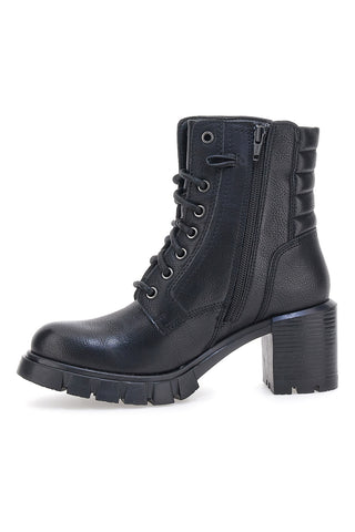 Schwarzhackige Amphibien Plocadi 2305