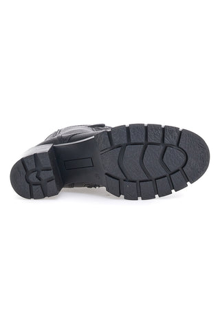 Schwarzhackige Amphibien Plocadi 2305